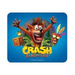 crash bandicoot! mousepad crash