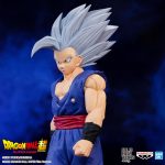dragonball! figure solid edge works vol14 son gohan beast