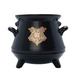 harry potter! 3d mug cauldron