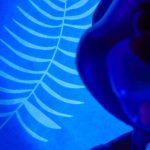 wow pod! disney baloo3