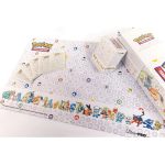 pokemon tcg – first partner accessory bundle