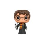 funko pop! harry potter #312