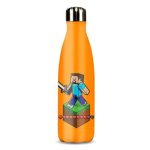 minecraft aluminium water bottle 600ml